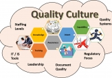 Văn hóa chất lượng có vai trò gì trong Hệ thống quản lý chất lượng?